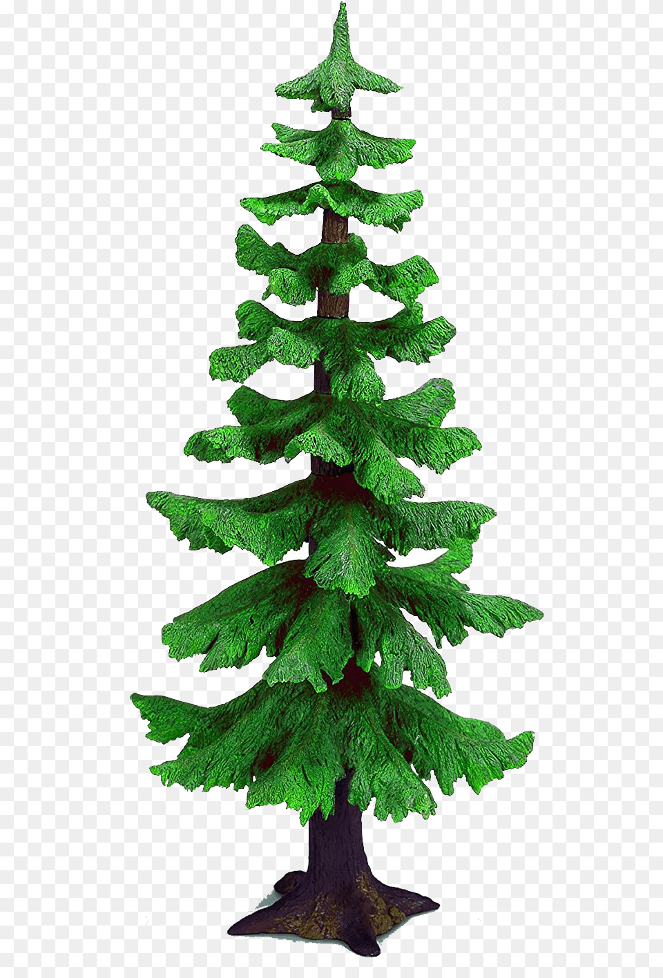Fir Tree Large Download, Pine, Plant, Conifer Png