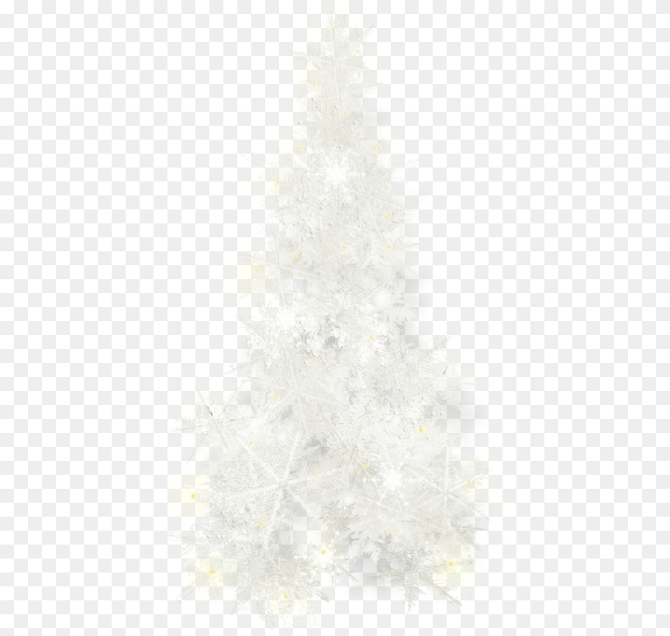 Fir Tree Ornament Day Spruce Christmas Christmas Tree, Christmas Decorations, Festival, Adult, Wedding Png Image