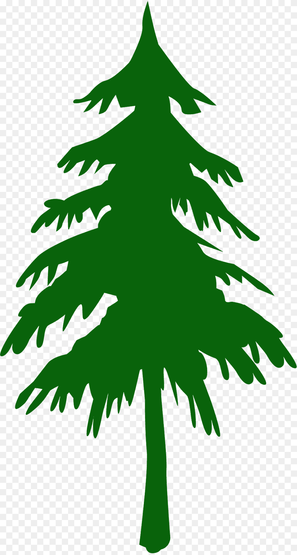 Fir Tree Silhouette, Pine, Plant, Conifer, Animal Png Image