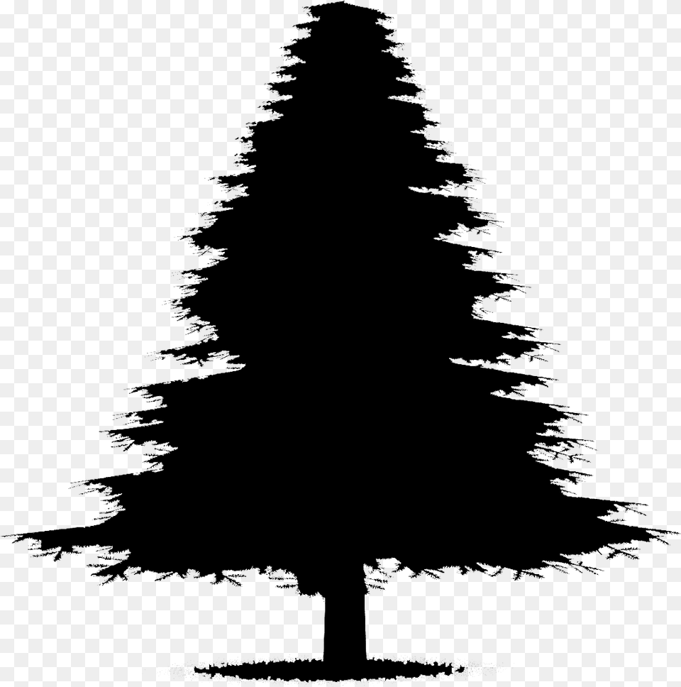 Fir Tree Silhouette Animated Silhouette Christmas Trees, Gray Png Image