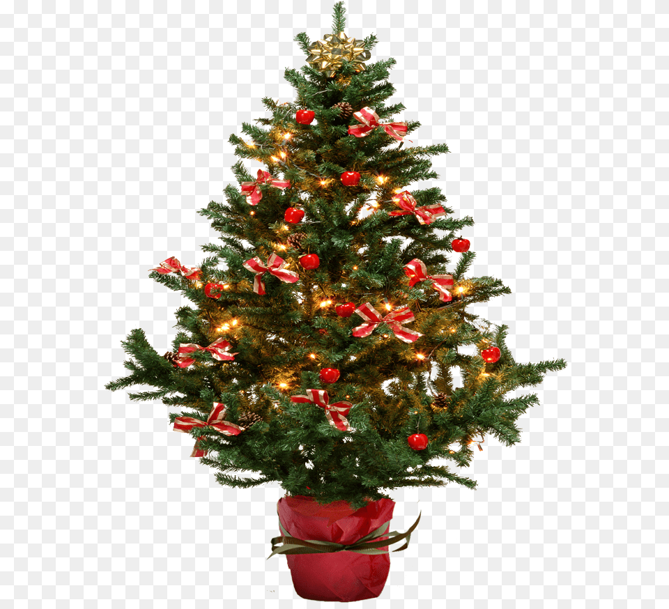 Fir Tree Transparent Small Christmas Tree Transparent Background, Plant, Christmas Decorations, Festival, Christmas Tree Free Png Download