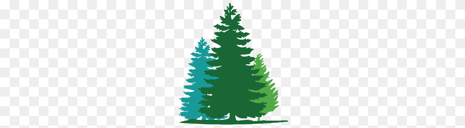 Fir Tree Wall Decals In Campout Nursery Tree, Plant, Water, Green, Land Png