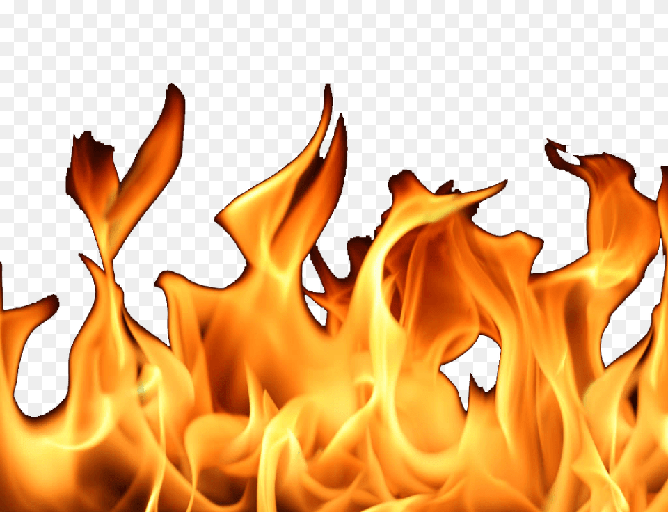 Fire, Flame, Flower, Plant, Rose Png