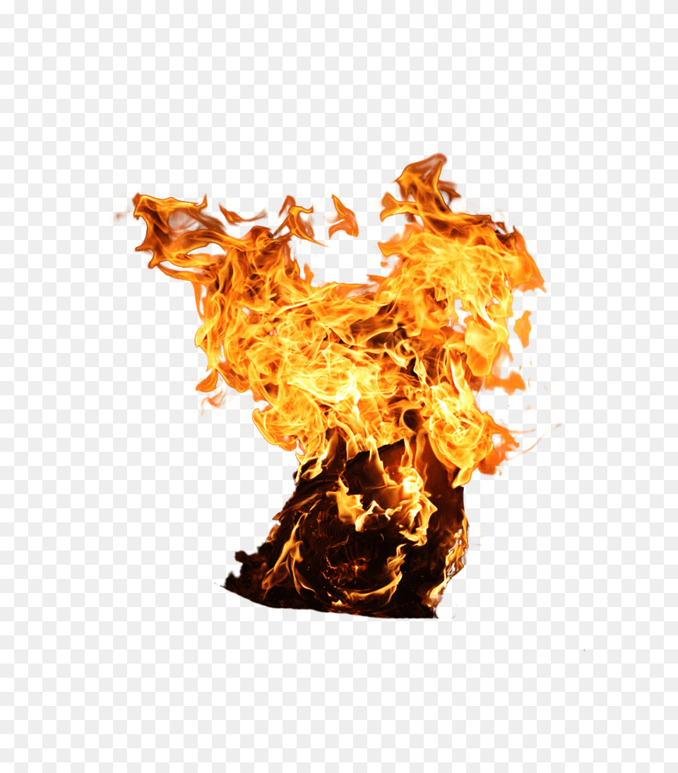 Fire, Flame, Bonfire Png Image