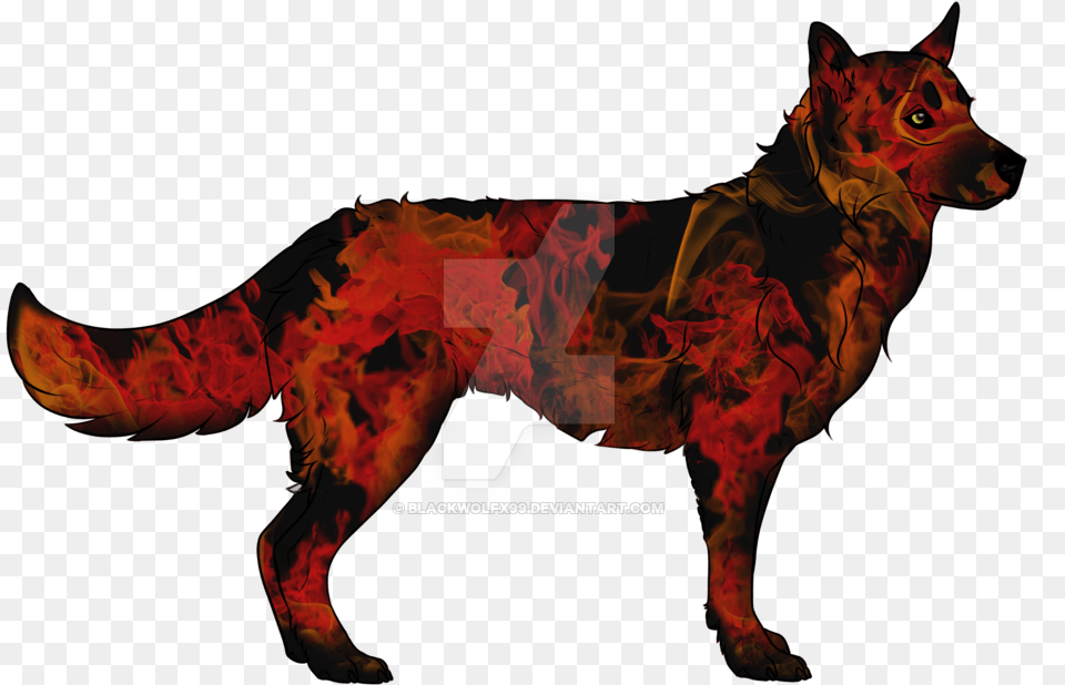Fire And Smoke Wolf Adoptable Please Offer Hunting Dog, Person, Animal, Canine, Mammal Free Png Download