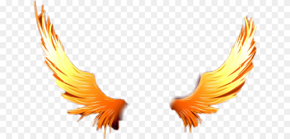 Fire Angel Fire Wings, Flame, Animal, Bird Free Transparent Png