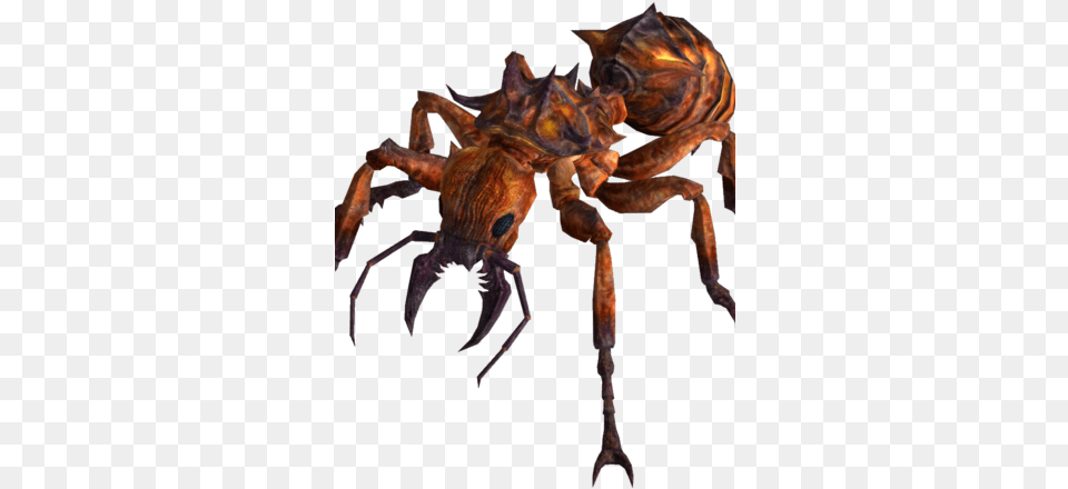 Fire Ant Fallout New Vegas Fire Ant, Animal, Insect, Invertebrate, Spider Png