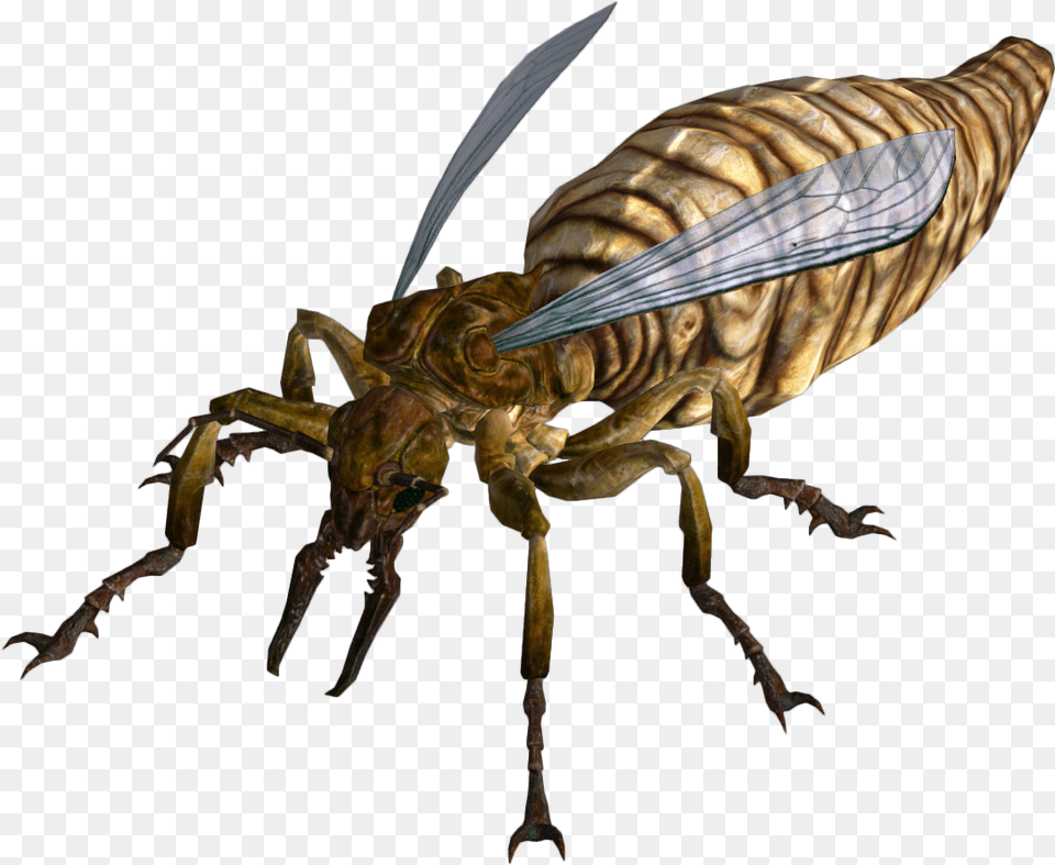 Fire Ant Queen Fallout Supplement Du0026d Wiki Fallout New Vegas Ant, Animal, Bee, Insect, Invertebrate Free Png