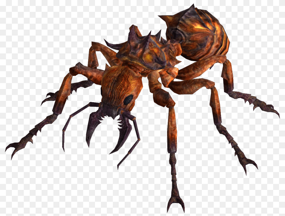 Fire Ants Transparent Image Fallout New Vegas Fire Ant, Animal, Insect, Invertebrate Png