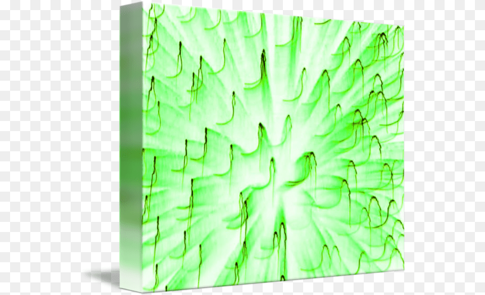 Fire Art Blast Lime Green By Sr Smith Graphic Design, Light Free Transparent Png
