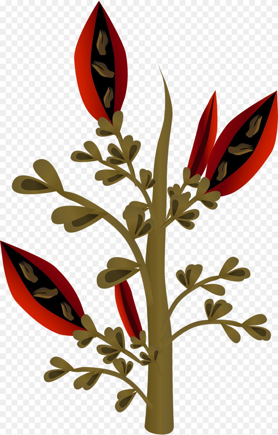 Fire Bean Clipart, Art, Floral Design, Graphics, Leaf Png Image