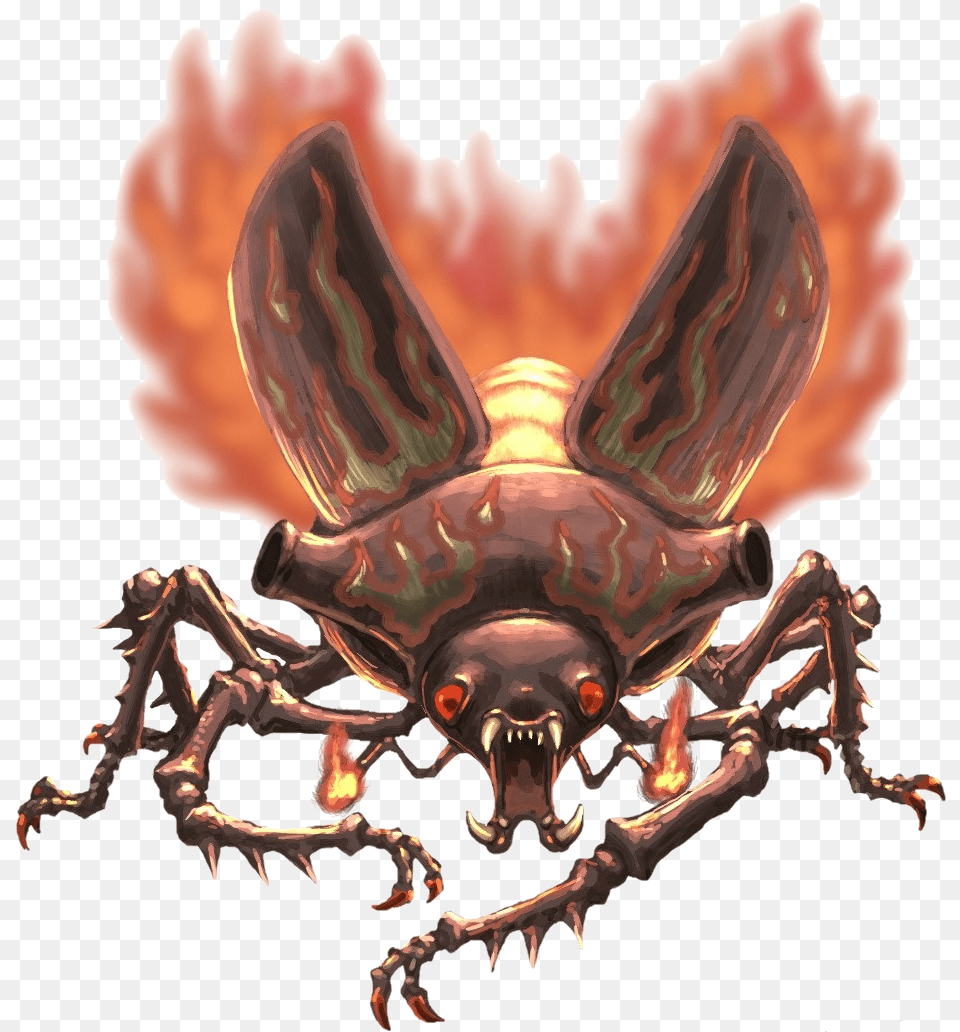 Fire Beetle Beetle On Fire, Animal, Bee, Insect, Invertebrate Free Transparent Png