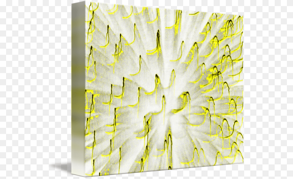 Fire Blast Paper, Art, Modern Art, Indoors, Interior Design Png Image