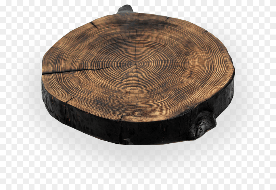 Fire Circle Studio Apeiron Outdoor Umbrella Base, Plant, Tree, Wood, Plate Png Image