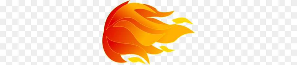 Fire Clip Art, Flame, Animal, Fish, Flower Png