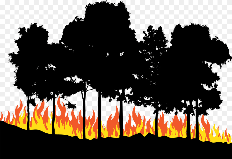 Fire Euclidean Vector Trees On Fire Clipart, Flame, Bonfire Free Transparent Png