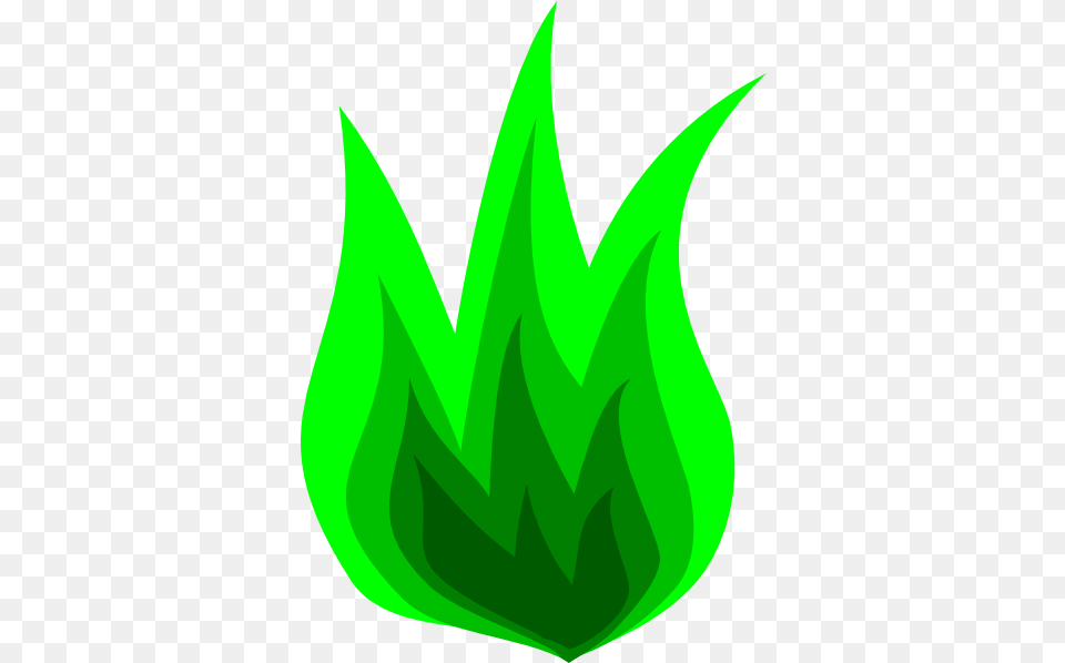 Fire Flame Clip Art Green Flame No Background, Leaf, Plant, Aloe Free Transparent Png