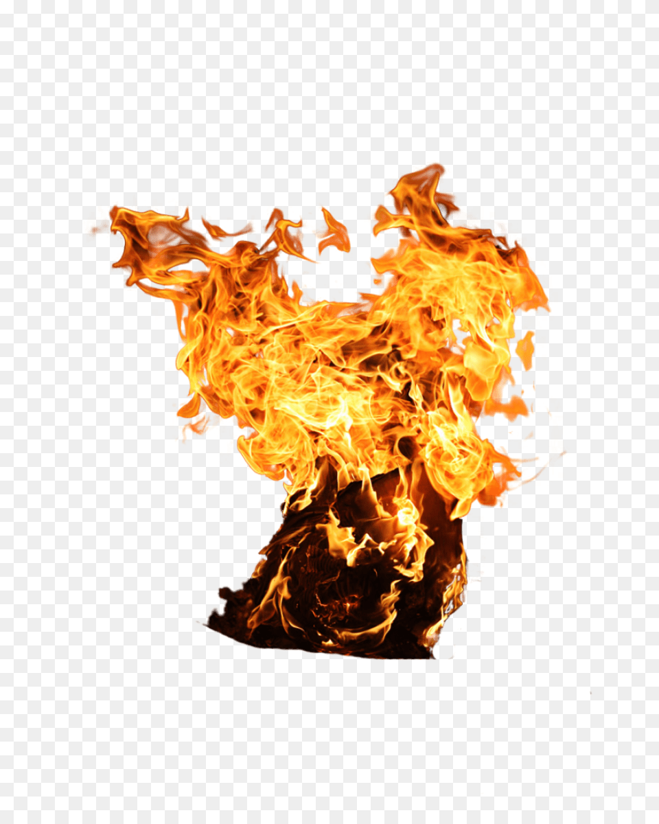 Fire Flame Transparent Free Download Free Effect New Picsart, Bonfire Png