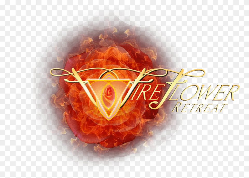 Fire Flower, Accessories, Pattern, Plant, Rose Png