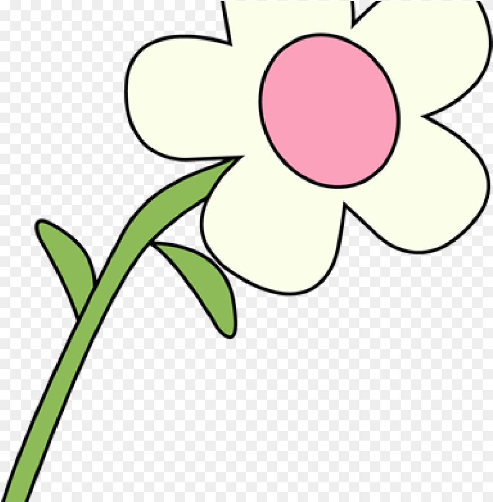 Fire Flower White Flower Clipart Flower Clip Art Clipart White Flower, Anemone, Daisy, Petal, Plant Png Image