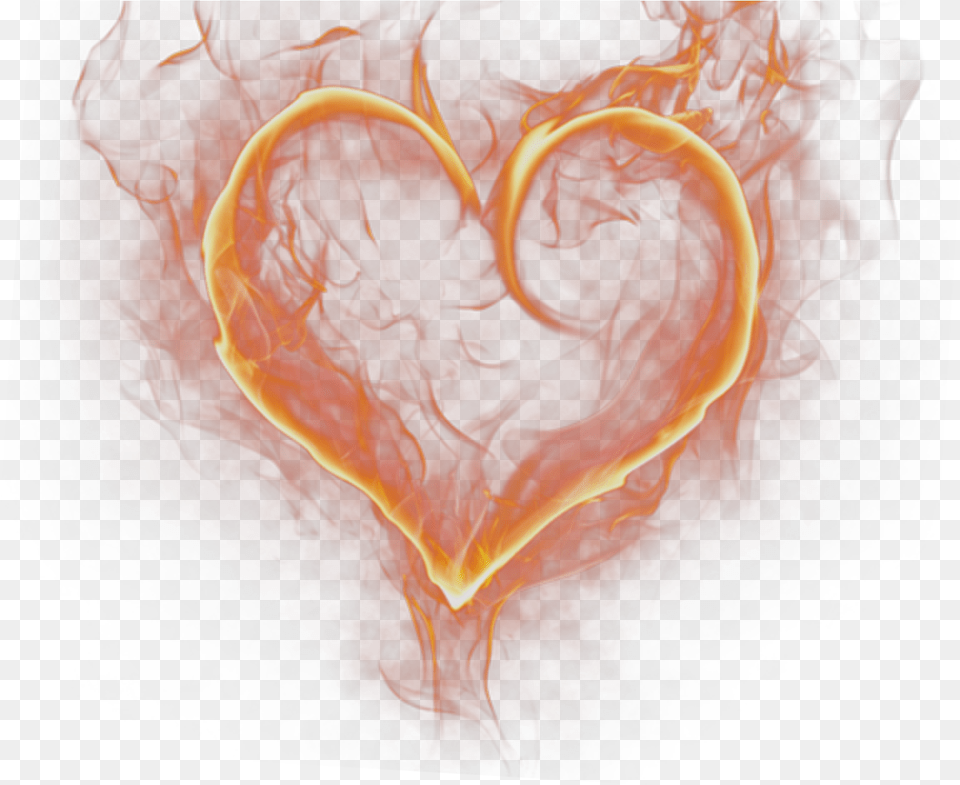 Fire Heart Manipulation Editing Transparent Fire Heart, Flower, Plant, Rose Free Png