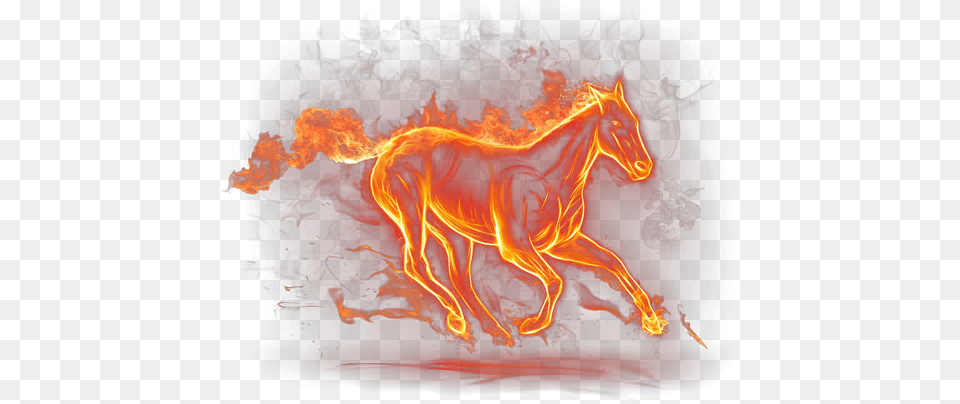 Fire Horse, Bonfire, Flame Free Png Download
