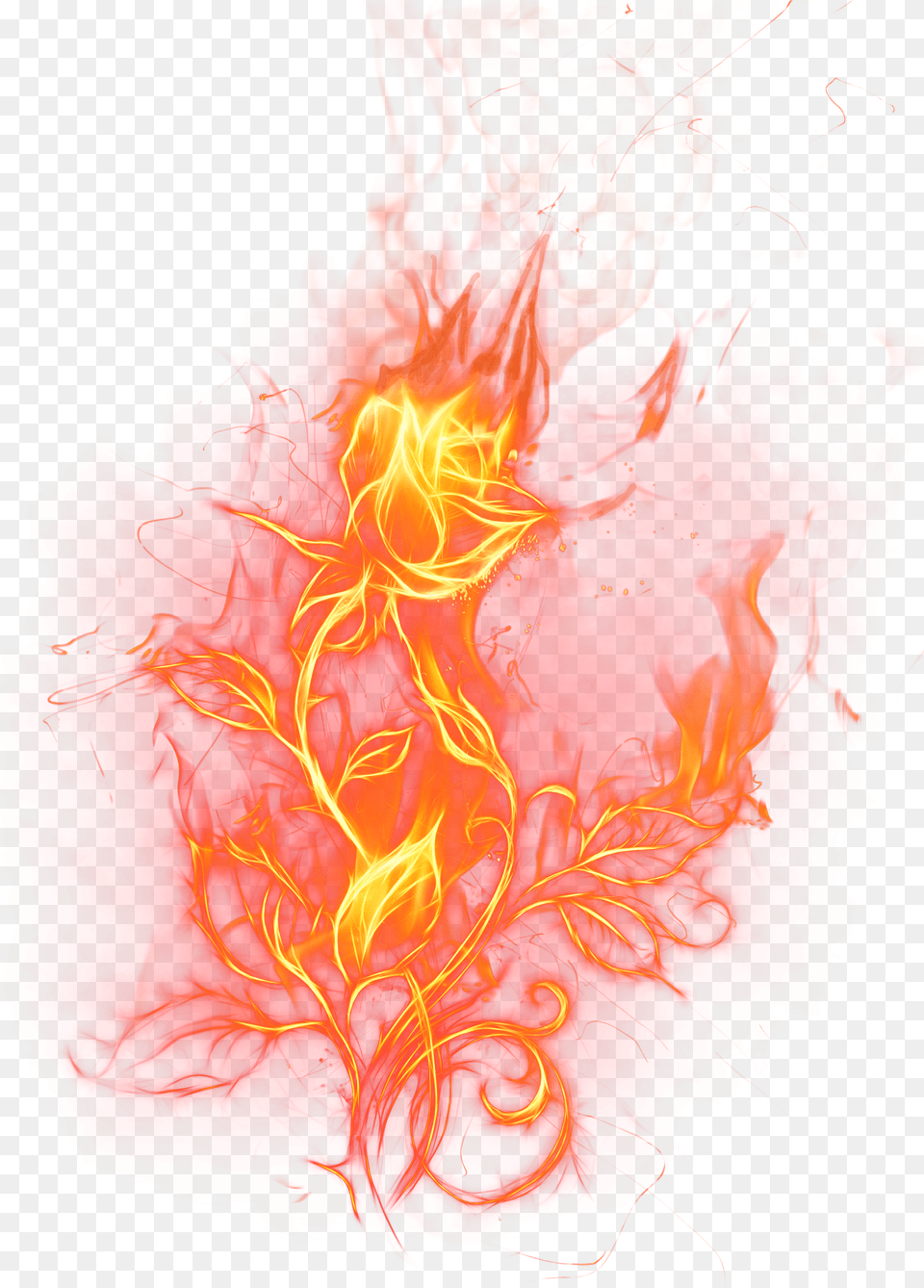 Fire Image With No Background Fire On Rose Free Png