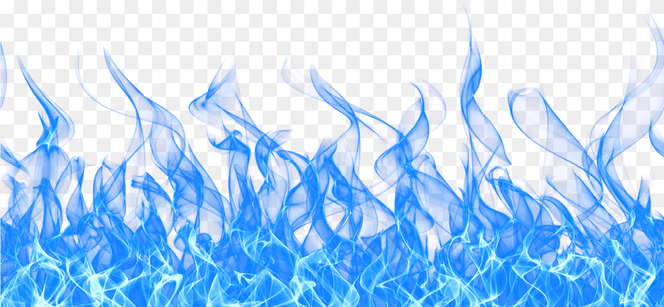 Fire Images Blue Fire Hd Blue Flames Transparent Background, Flame, Plant, Pattern Free Png