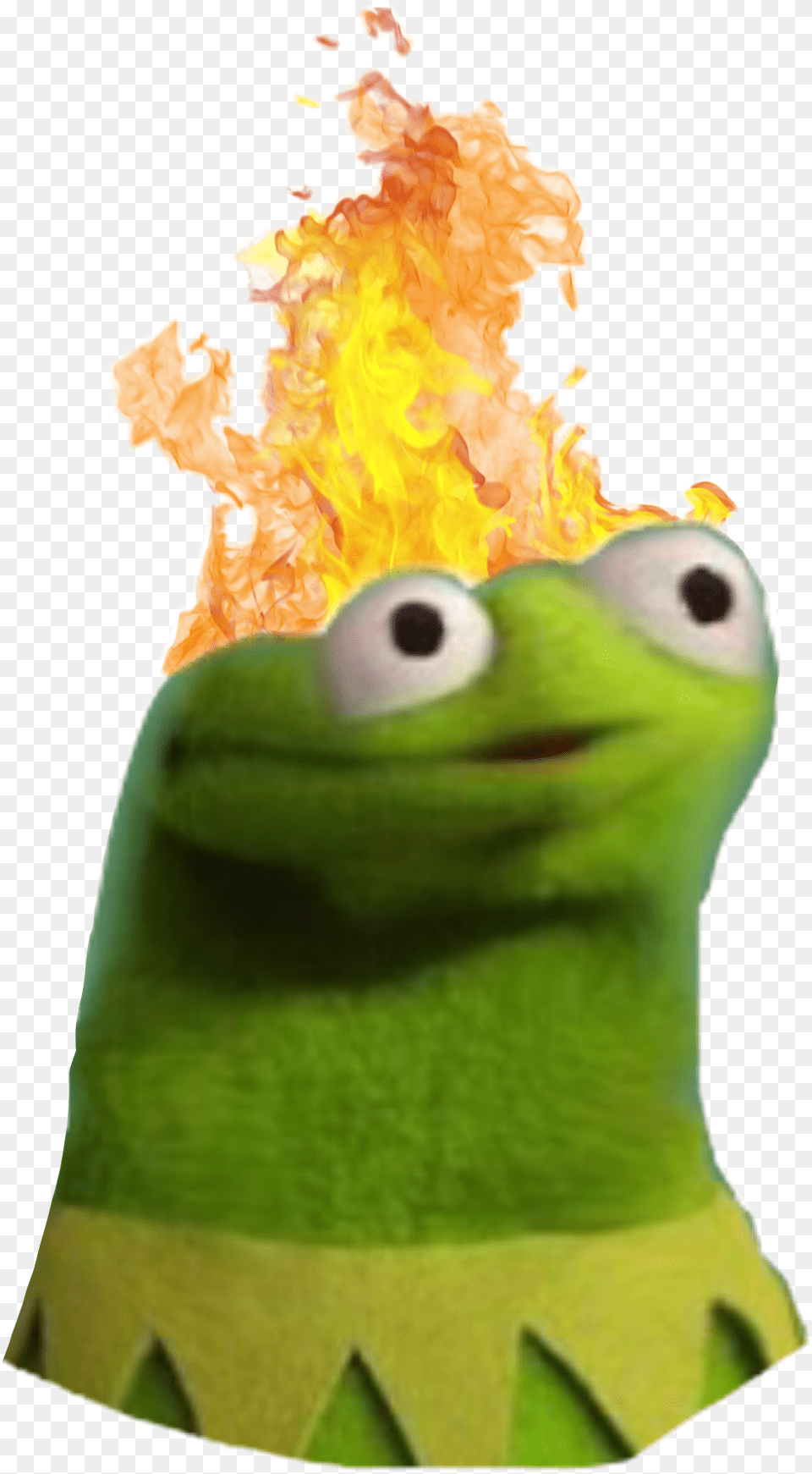 Fire Kermit Derpface Stupidfriends Mylife Lazylooks Derp Kermit The Frog, Light, Person Png