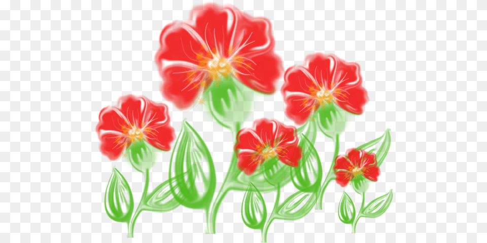 Fire Lily, Flower, Geranium, Plant, Petal Png Image