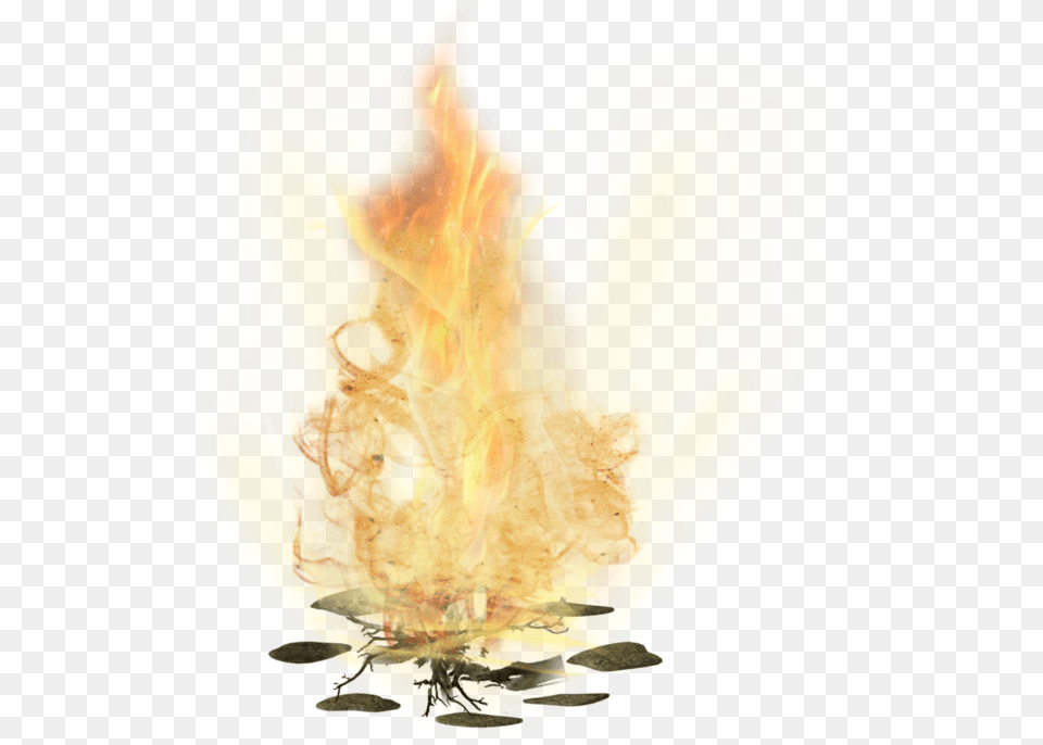 Fire Macro Photography, Flame Free Transparent Png