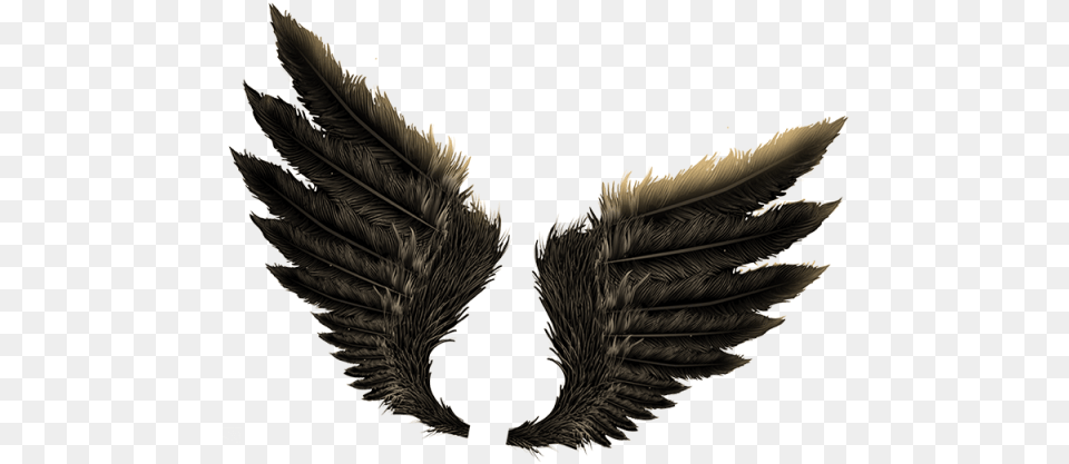 Fire One Side Wings Download Evil Wings, Animal, Bird Free Transparent Png