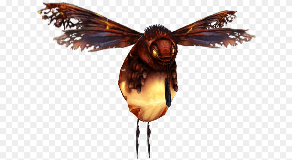 Fire Parasitism, Animal, Bee, Insect, Invertebrate Png Image