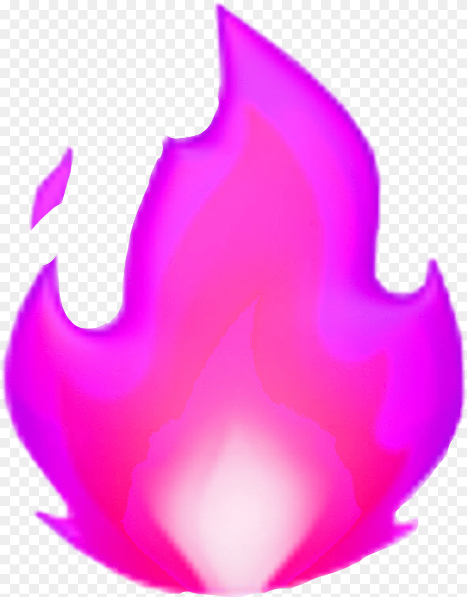 Fire Pink Flame Freetoedit Fire Streaks On Snapchat, Flower, Leaf, Petal, Plant Free Transparent Png