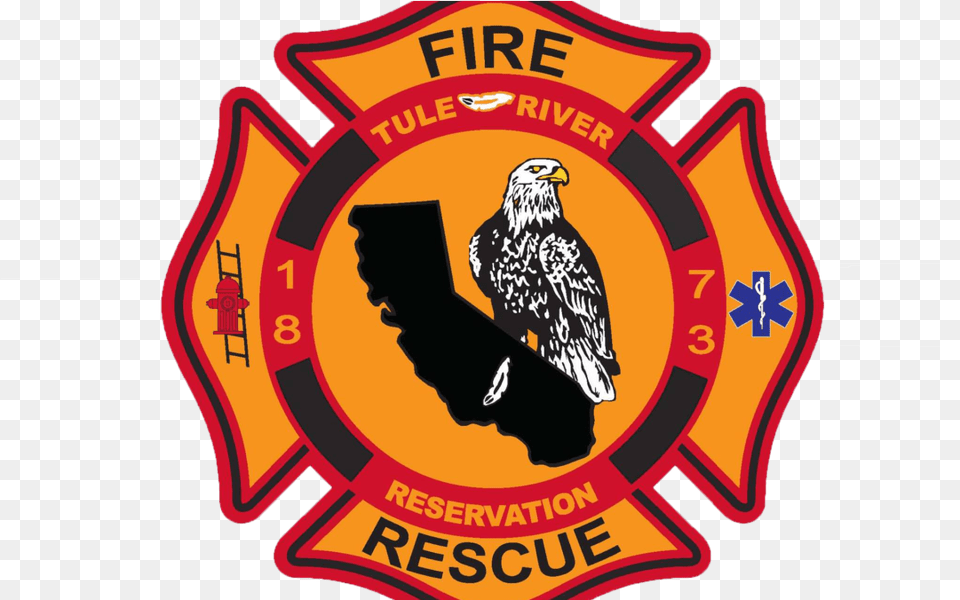 Fire Reminder 8 Ball Fire Department, Badge, Logo, Symbol, Animal Free Transparent Png