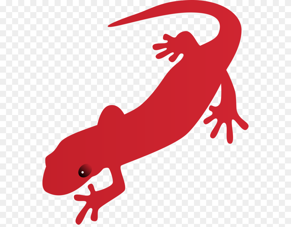 Fire Salamander Newt Drawing Tiger Salamander, Amphibian, Animal, Wildlife, Fish Free Png