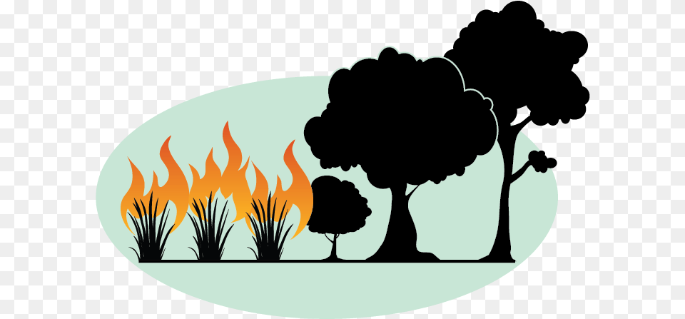 Fire Sparks, Silhouette, Bonfire, Flame, Person Png