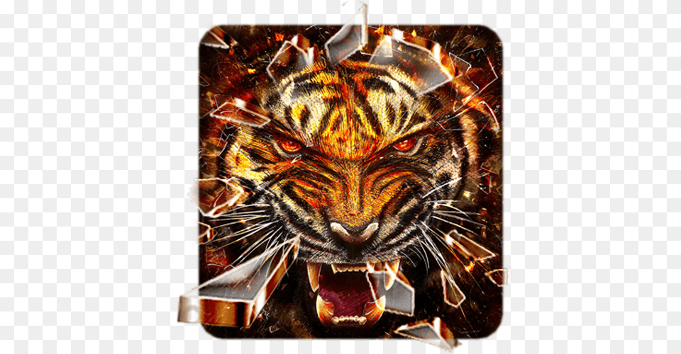 Fire Tiger Launcher Theme Live Hd Wallpapers Tiger Fire Wallpaper Hd, Animal, Mammal, Wildlife, Art Png Image