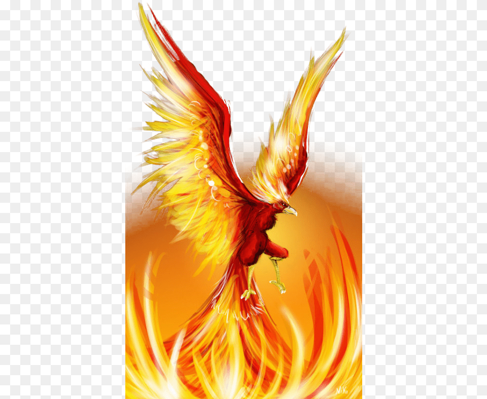 Fire Wing Best Logo For School Elections, Animal, Bird Free Png Download