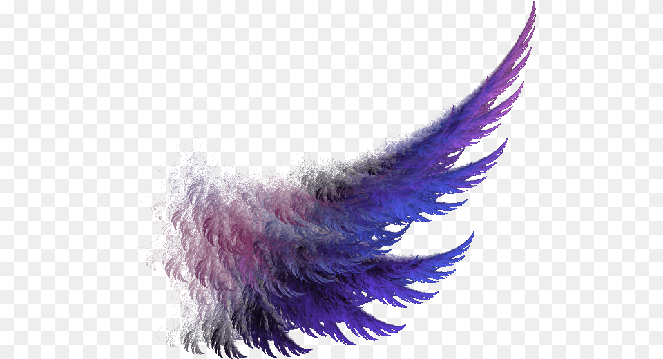 Fire Wings 4 Image For Poster Editing, Accessories, Fractal, Ornament, Pattern Free Png