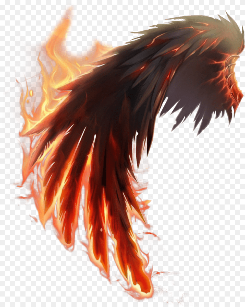 Fire Wings Fire Wing Transparent, Dragon, Adult, Female, Person Free Png