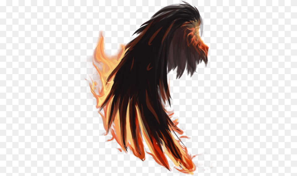 Fire Wings Firewings Tumblr Edit Pngedit Bird, Adult, Female, Person, Woman Free Png