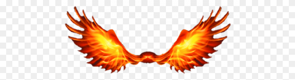 Fire Wings Images Fire Wings, Flame, Bonfire Png Image
