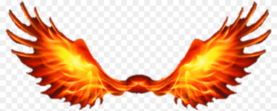 Fire Wings Wingsoffire Firewings Picsart Background Hd Fire, Flame, Bonfire Png