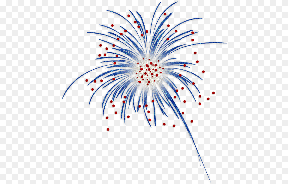 Fire Work Download Fireworks, Plant Png