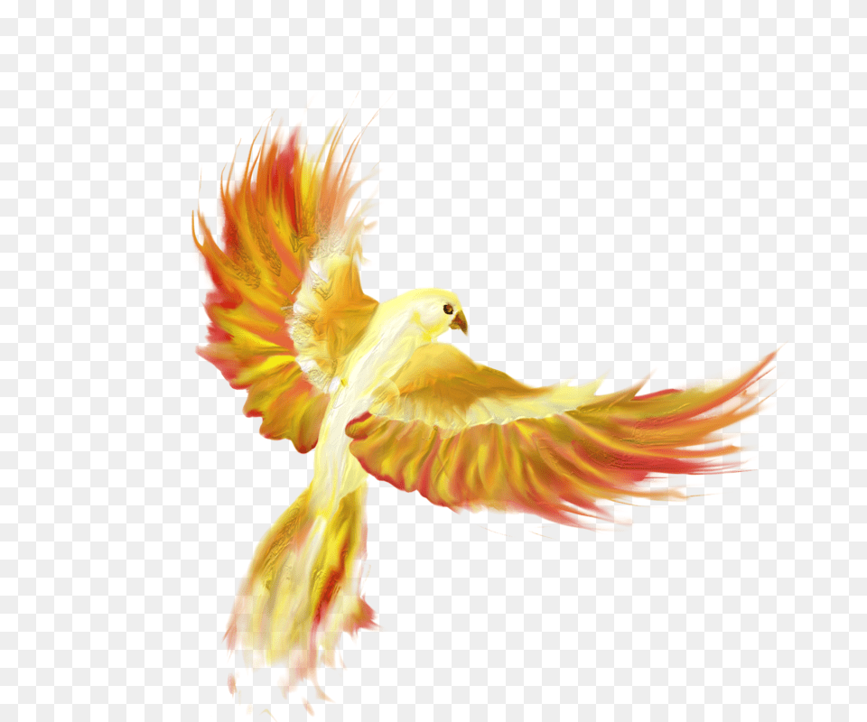 Firebird Clipart Vectors Psd Fire Bird Transparent Background, Animal, Adult, Female, Person Free Png