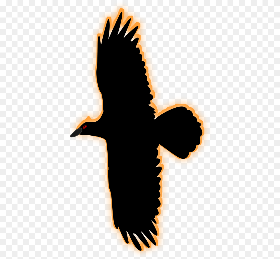 Firebird Vector Illustration, Animal, Beak, Bird, Vulture Png Image