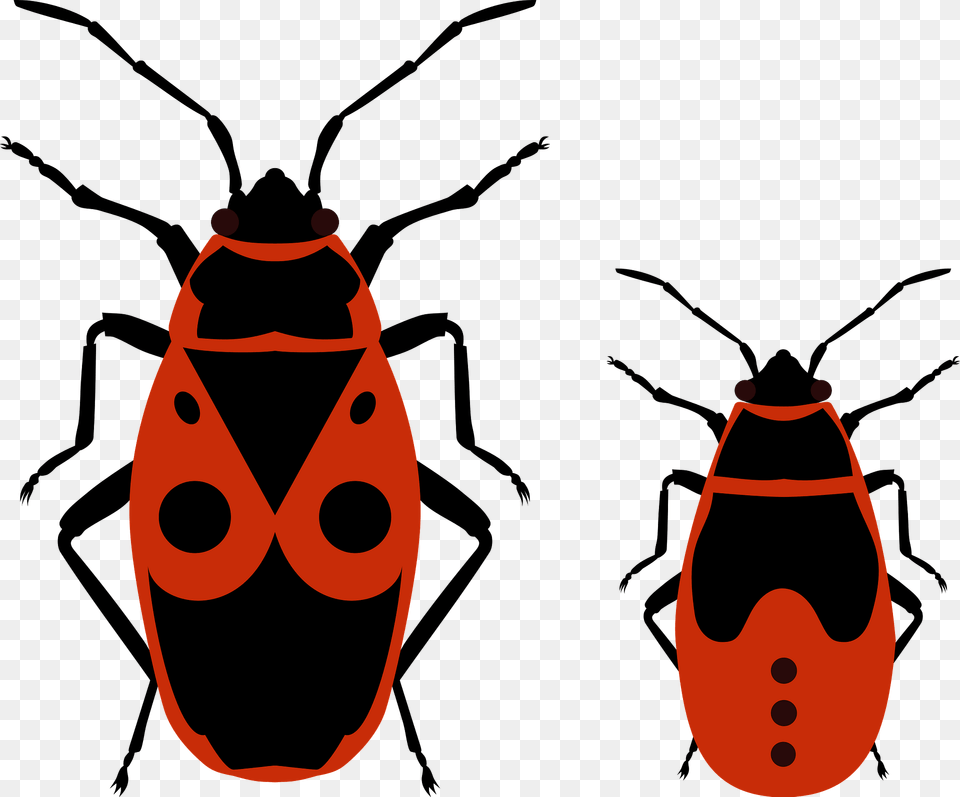 Firebug And His Nymph Clipart, Animal, Insect, Invertebrate Png