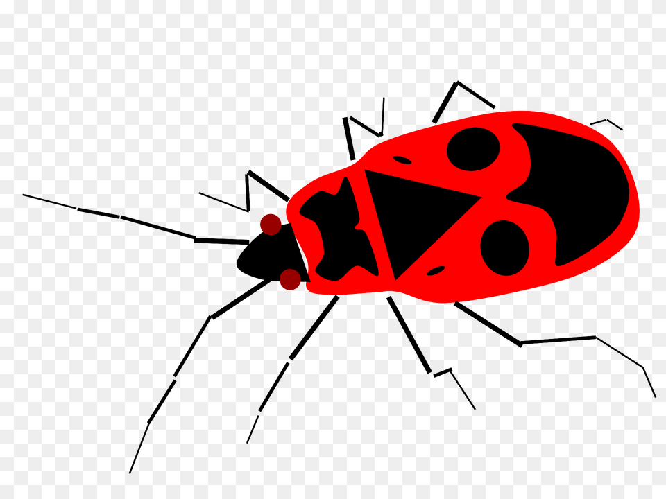 Firebug Clipart, Animal Png Image