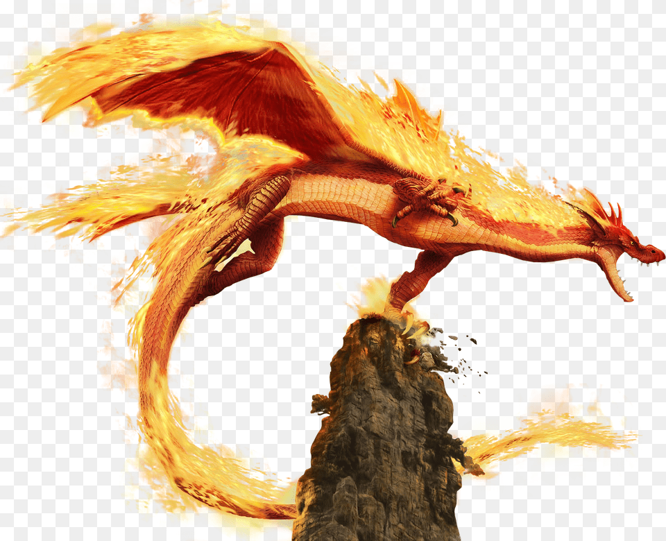Firedragon Fire Dragon, Animal, Dinosaur, Reptile Png Image